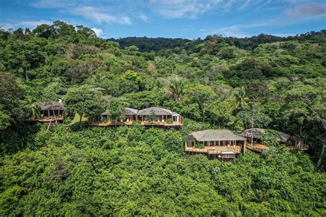 Wildcats of Costa Rica: Jaguars & Pumas - Costa Rican Trails