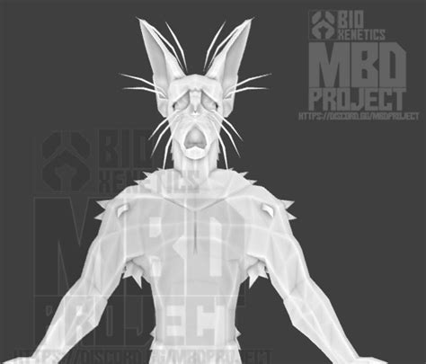 What Are Prototype in C Language 的图像结果