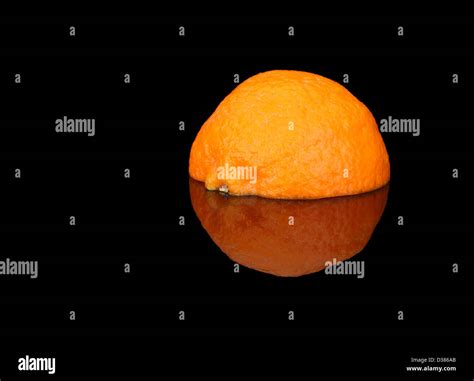 Image result for Reception Table Layout Generator