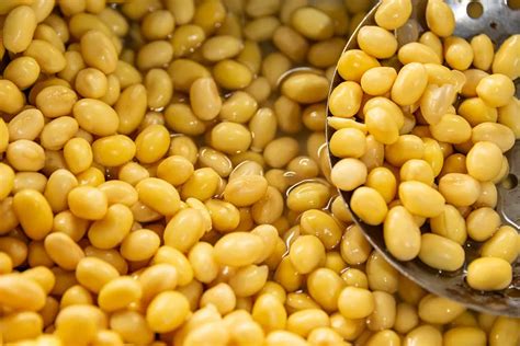 国内首次：农业农村部公示51个玉米和大豆转基因品种通过国家审定 - 知乎
