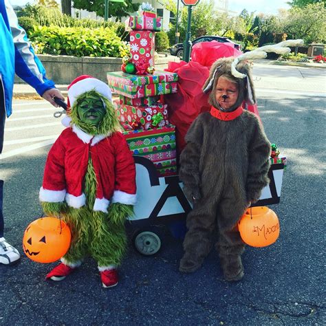 Dog Dressed As Grinch at Wayne Tisdale blog