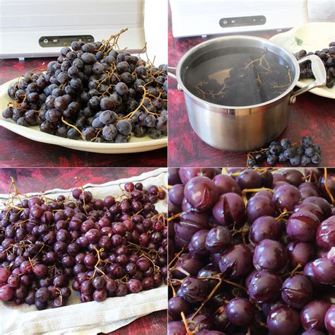 Dehydrating muscatel grape clusters - Luvele US