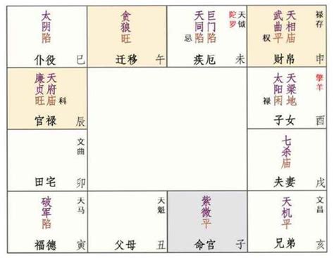 紫薇命盘免费详解（福德宫有天相星）_八字_若朴堂文化