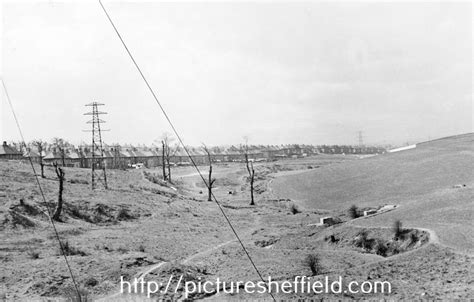 Searching Picture Sheffield