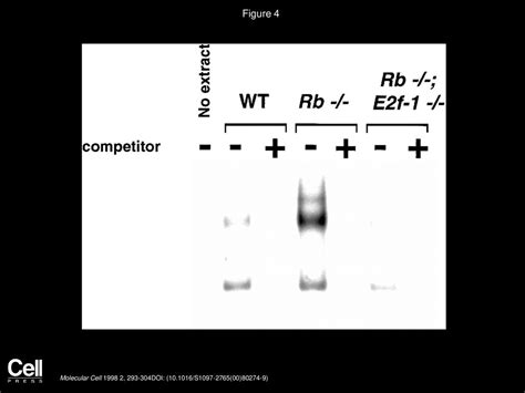 Volume 2, Issue 3, Pages (September 1998) - ppt download