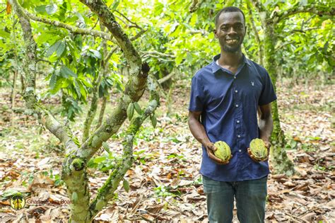 FACT-CHECK: False! Over 60% of Ghana’s workforce are not in agriculture - Ghana Fact