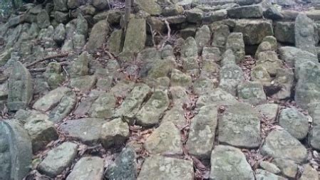 Image result for Grade 4 Module 6 Lesson 12 Homework