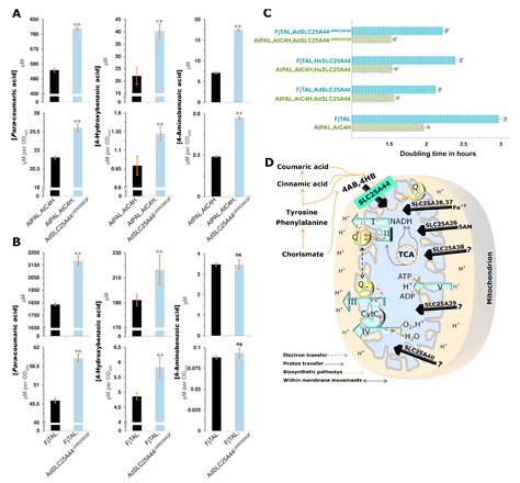 Genome Evolutionary Dynamics Meets Functional Genomics: A Case Story on ...