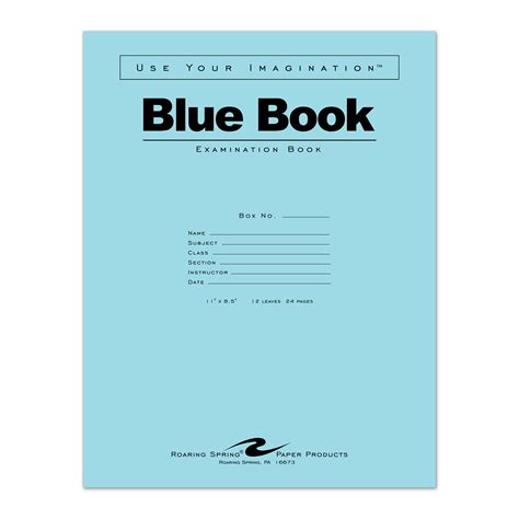 Blue Exam Book, Wide Ruled with Margin, 11" x 8.5", 12 Sheets/24 Pages ...