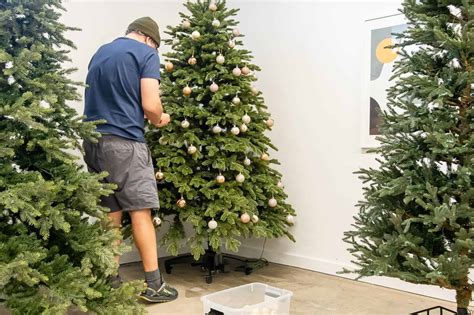 Saudi Arabia bans Christmas tree imports | Leaders