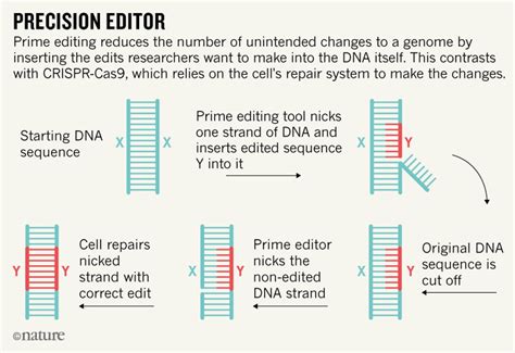 Comment Reprogrammer ADN 的图像结果