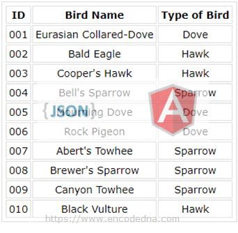 How to Read Data from an External JSON file in AngularJS