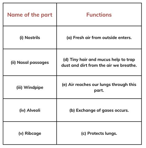 NCERT Solutions Class 7 Science (Curiosity) Life Processes In Animals ...