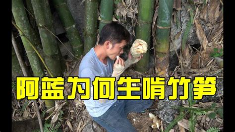 山上的竹笋就是大，小伙挖起来直接生吃，看着太美味了【农人阿蓝】 - YouTube