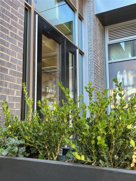 Live, work, play comes to Northwest D.C. - The Wash