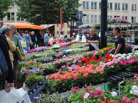 Best Things To Do In Amsterdam In 4 Days - Hellotickets