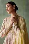 Buy Grey Organza, Cotton Embroidery, Patchwork High Neck Jashn Bahar ...