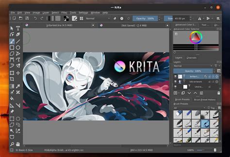 Image result for Raster Graphics Editor Tutorial