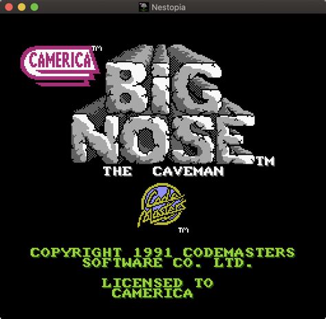 Image result for Nestopia File Not Found Error