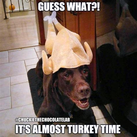 Almost Turkey Time! - Imgflip