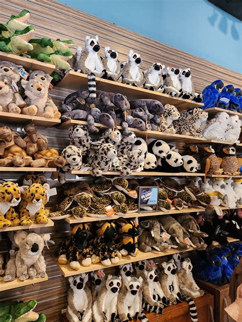 Stuffed animal shelf🦊🦝🐱 | Animal sanctuary, Zoo toys, Zoo decor