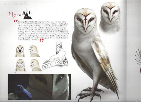 Image - IMG 8425.JPG | Guardians of Ga’Hoole Wiki | FANDOM powered by Wikia