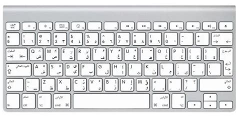 Image result for Computer Typing Mena