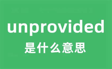 unprovided是什么意思_unprovided怎么读_中文翻译是什么？_学习力