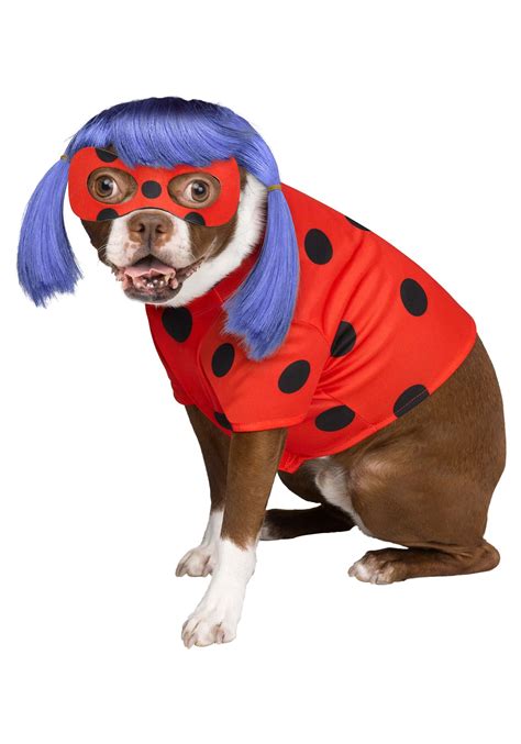 Halloween Costumes Miraculous Ladybug at Michael Dittmer blog