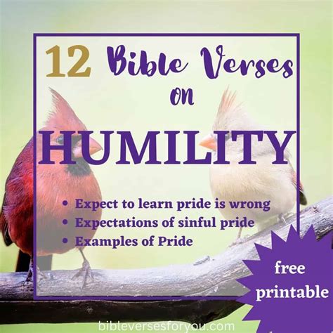 12 Humbling Bible Verses about Humility - Bible Verses for You