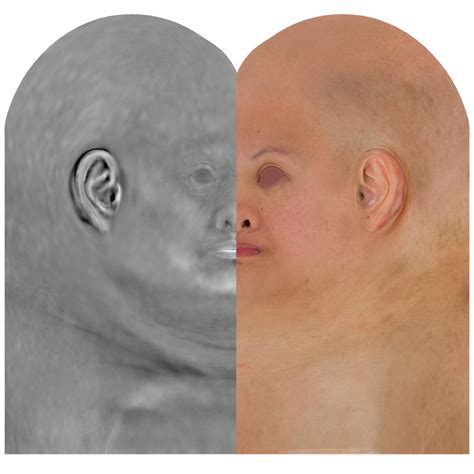 Displacement Map 的图像结果