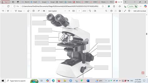 Image result for Function of Microscope