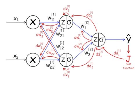 Backpropagation Algorithm & Gradient Descent Algorithm Project 的图像结果