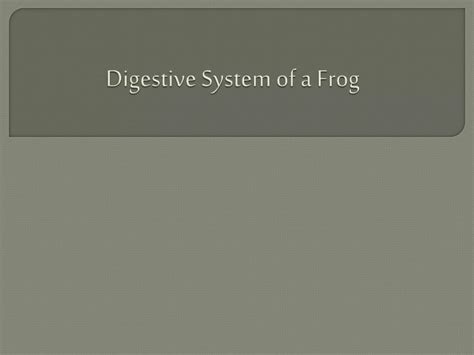 Digestive system of a frog | PPTX