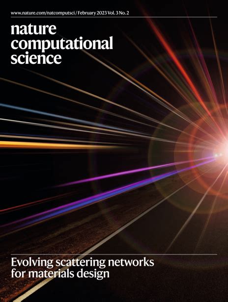Nature Computer Simulation 的图像结果
