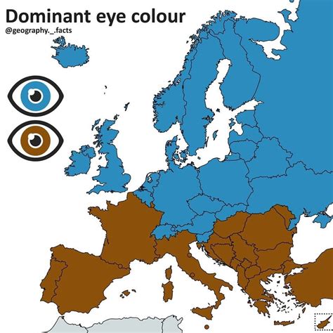An Overview Of Eye Color Percentages Across The World - HWDYNP