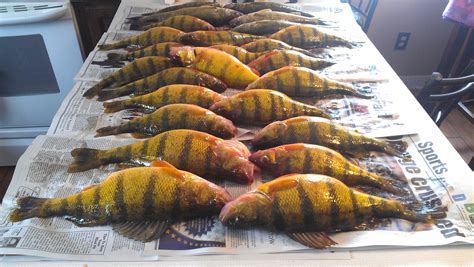 IMAG0066 – Devils Lake Fishing Report