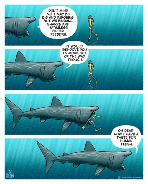 Basking Shark Eating People