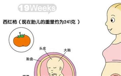怀孕31周B超结果胎儿大小是否正常_百度宝宝知道-怀孕33周1天的B超报告单!请帮忙看一下,胎儿是否正常,大小正常否?