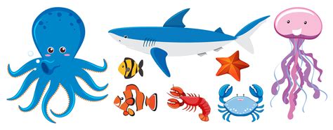 A Set of Sea Creatures 294901 Vector Art at Vecteezy