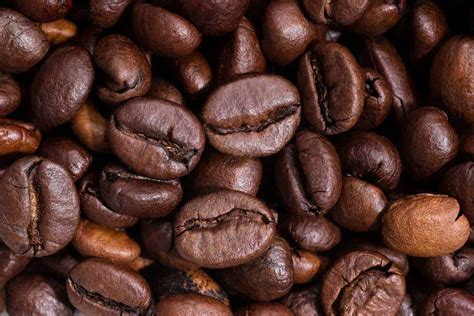 Image result for How to Get Array Length in JavaScript