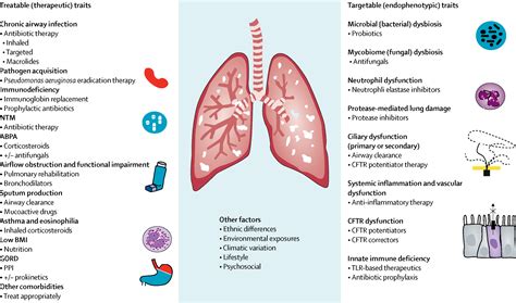 Treatment For Bronchiectasis
