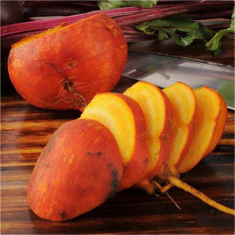 Buy Seed Needs, Golden Detroit Beetroot Seeds for Planting (Beta ...