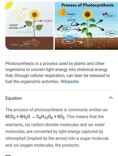 what is photosynthesis???...............t-t-t-toi hai?? - Brainly.in