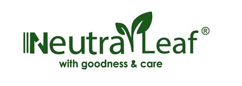 Propel Global Business Accelerator 2025