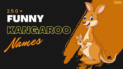 320+ Funny Kangaroo Names - Names Crunch