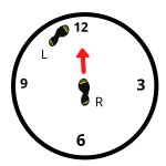 Image result for Half Rotation Discus