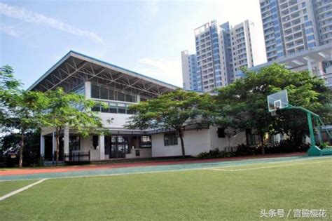 东莞私立高中学校有哪些(2024）