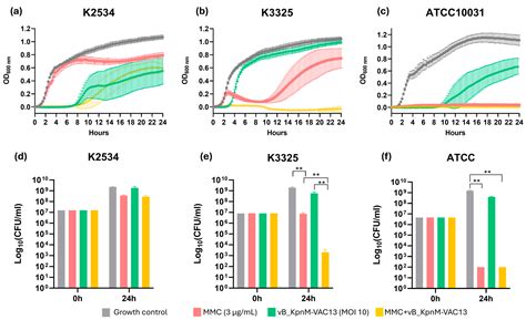 Mitomycin C as an Anti-Persister Strategy against Klebsiella pneumoniae ...