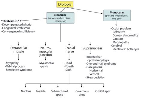 Image result for Intractable Diplopia